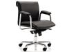 Delphi Meeting Chair 6 - Click to enlarge picture