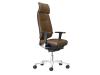 Flash Executive Chair 1 - Click to enlarge picture