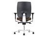 Flash Executive Chairs 9 - Click to enlarge picture